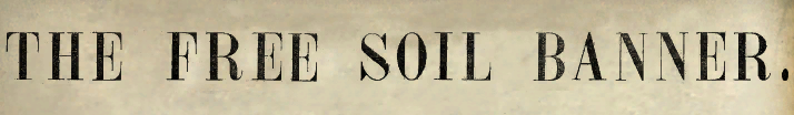 The Free Soil Banner
